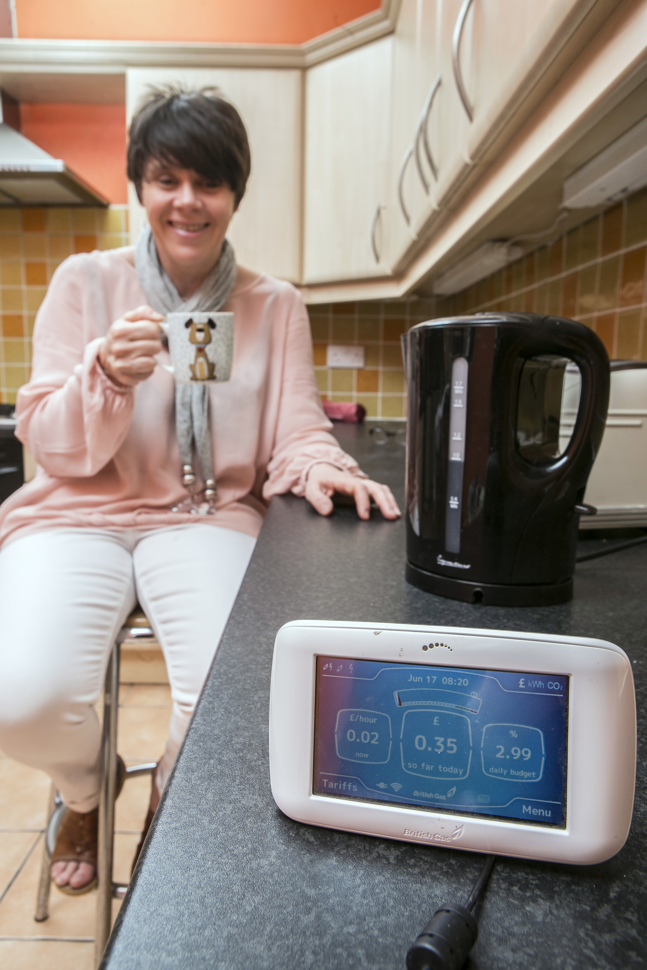 17.06.15Janet Thickpenny at home with her British Gas Smart Meter
