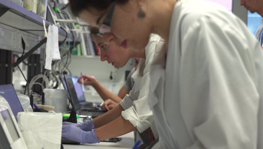 Around 100 young Portuguese researchers use their talent to simplify medical diagnostics 