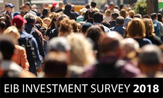 Investment survey 2018