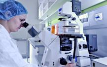 hungary_gedeon_richter_pharma.jpg hungary_gedeon_richter_pharma.jpg
