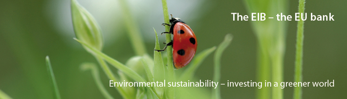 Environmental sustainability - investing in a greener world