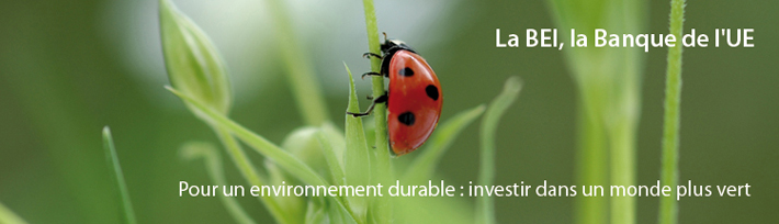Pour un environnement durable : investir dans un monde plus vert