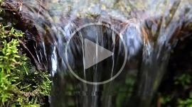 Video : The EIB invests in water