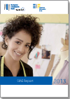 SME Report 2013