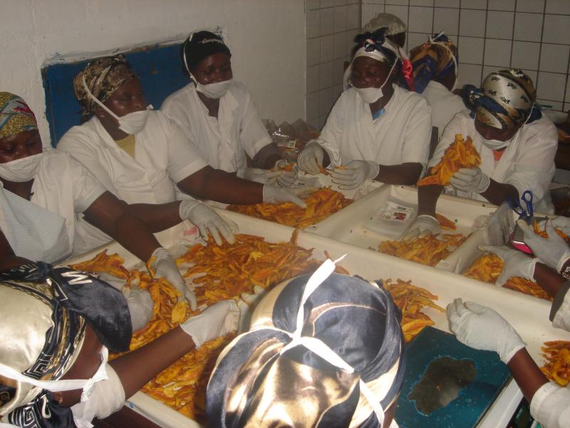 Biotropical réalise son rêve d’une agriculture biologique africaine