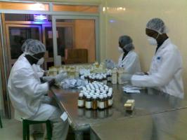 GENEMARK: helping Africa to take care of itself