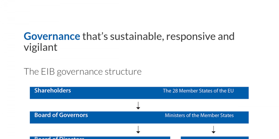 Governance that's sustainable, responsive and vigilant - Activity report  2017