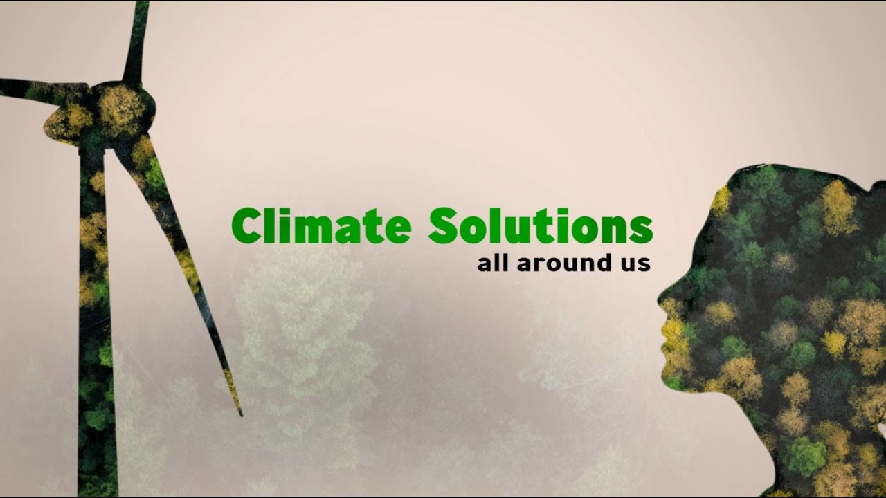 Thumbnail: Ending fossil fuel dependency and preserving biodiversity in Cape Verde with wind energy
