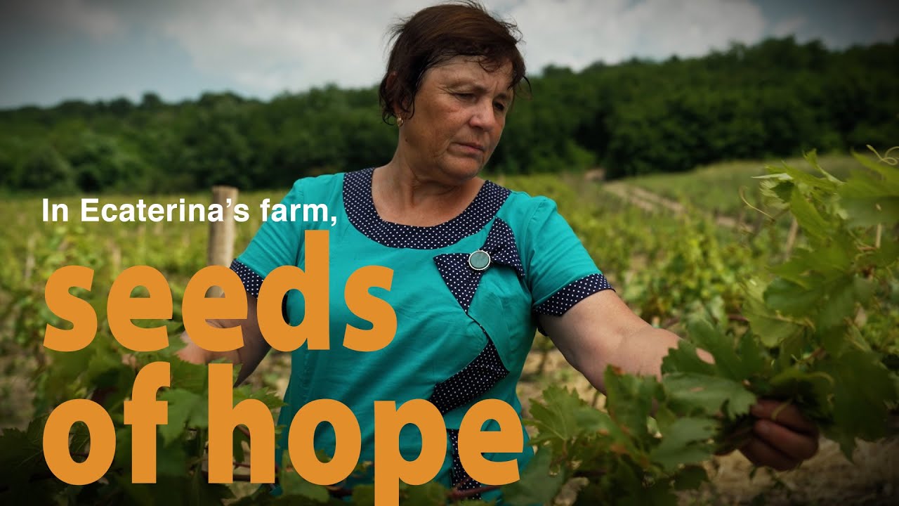 Thumbnail: Ecaterina - Moldovan farmers plant seeds of hope