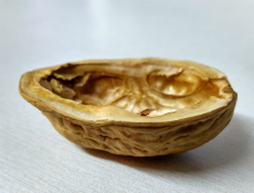 Bbraun NCFF in a nutshell