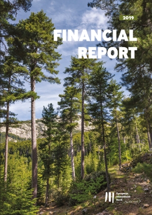 financial report