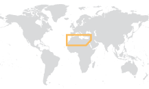 La BEI dans les pays partenaires méditerranéens*