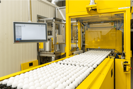 Netherlands: InvestEU - EIB lends €40 million to In Ovo to stop culling of male chicks