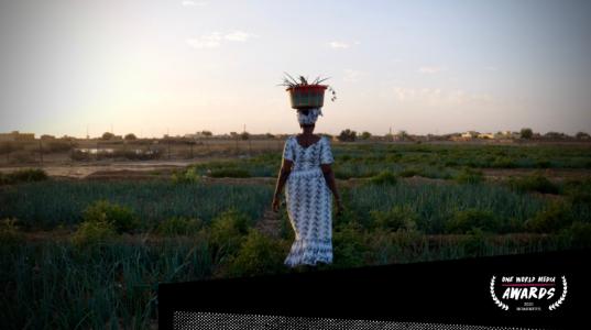 EIB-sponsored media award puts the spotlight on female entrepreneurship