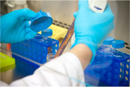 Juncker Plan: EIB loan for Mabion highlights support for Poland’s young biotech sector