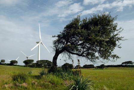 Financing of a 3-year investment programme of Enel Green Power, a subsidiary of the Enel group, focusing on the installation of 825 MW new renewable energy capacities (wind farms, photovoltaic and geothermal plants) throughout Italy