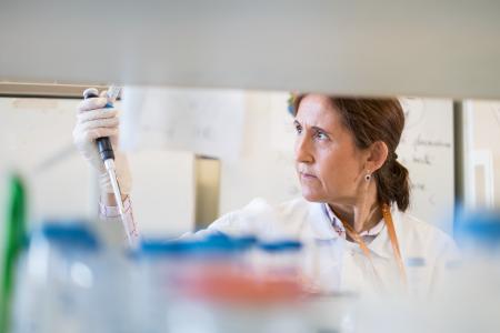 Angelita Rebollo in the lab