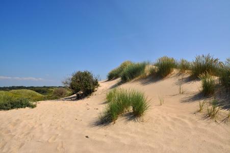 climate resilience of drinking water