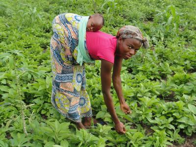 Des milliers d’entreprises bénéficieront du premier partenariat entre la BEI et Vital Finance Bénin