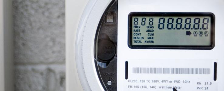 Support to the promoter’s investment programme in particular in smart metering platform for the electricity utilities, digital radio and Wi-Fi telecoms infrastructure