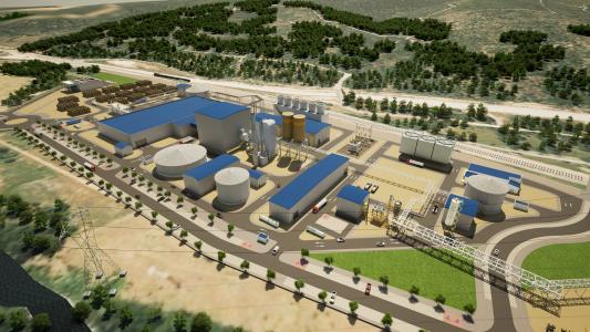 Transforming biomass to renewable energy at the Robla Green Project in Spain