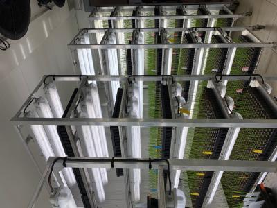 Florimond Desprez Climate Resilient Seeds