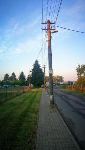 Czech electricity grid to get upgrade with €400 million EIB loan to utility ČEZ