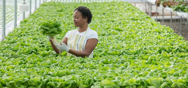 $40 million EIB backing for Acre Impact Capital’s innovative private debt fund to accelerate climate infrastructure investment across Africa