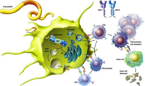 ISA Pharmaceuticals B.V. receives EUR 20m loan from European Investment Bank 