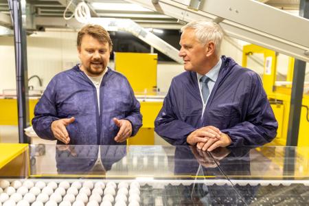 Netherlands: InvestEU - EIB lends €40 million to In Ovo to stop culling of male chicks