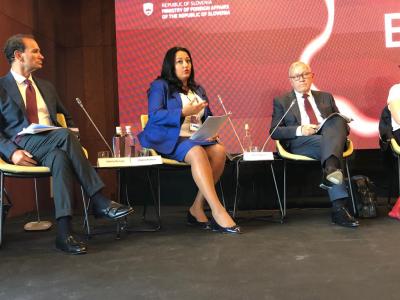 VP Pavlova at the Bled Forum