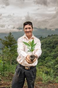 Reforesting degraded land in Latin America to combat climate change