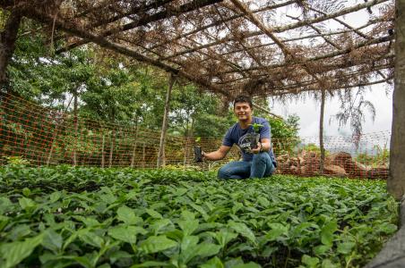 Reforesting degraded land in Latin America to combat climate change