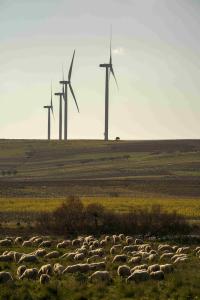 EIB and Natixis CIB provide €97 million in financing to Libeccio for new state-of-the-art wind farm in Sicily