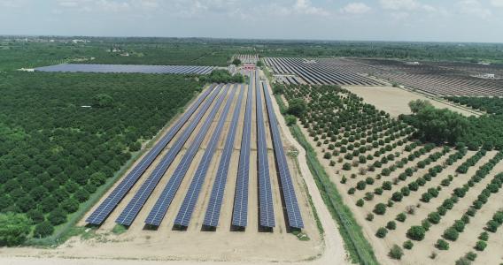 Supporting high impact private sector renewable energy investment across India