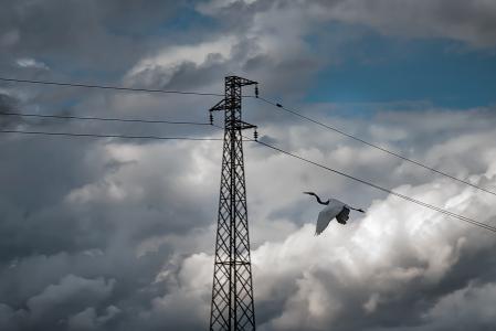 EIB and E-Distribuzione sign €250 million sustainability-linked agreement to strengthen climate resilience, digitalisation and quality of Italian power grids