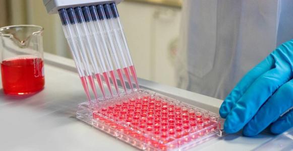 Germany: EIB provides Immunic with up to €24.5 million to support ongoing development of a potential COVID-19 therapy