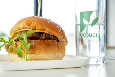 SRIW COVID19 Response Loan for SMEs and Midcaps