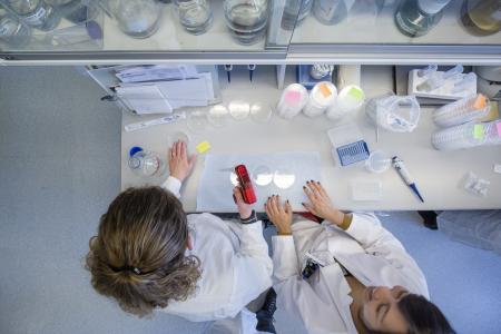 EIB supporting innovation in Denmark