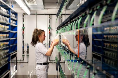 Extension of the new campus of the Austrian Institute of Science and Technology, specialised in fundamental research, by additional laboratory buildings and facilities