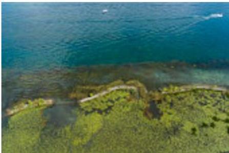 Restored Marsh by Using Barriers, Beaver Island State Park, New York