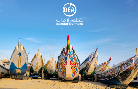 Supporting youth employment in Mauritania