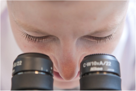 Juncker Plan: EIB loan for Mabion highlights support for Poland’s young biotech sector