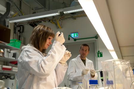 Extension of the new campus of the Austrian Institute of Science and Technology, specialised in fundamental research, by additional laboratory buildings and facilities