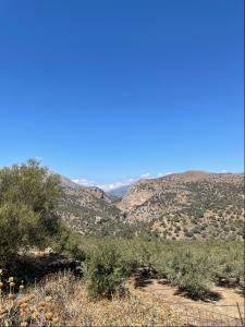 Enabling better irrigation and flood protection in Crete