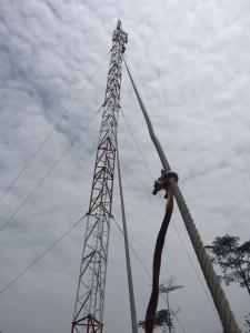 Installation of 1000 solar-powered mobile base phone stations to extend telecommunication services to rural communities in Democratic Republic of Congo and Cameroon