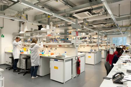 Extension of the new campus of the Austrian Institute of Science and Technology, specialised in fundamental research, by additional laboratory buildings and facilities