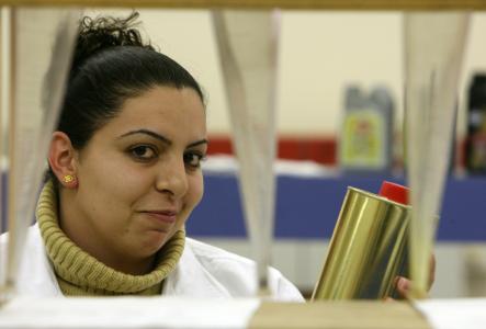 Participation in a venture capital fund that will primarily invest in early stage private IT businesses located in the Palestinian Territories
