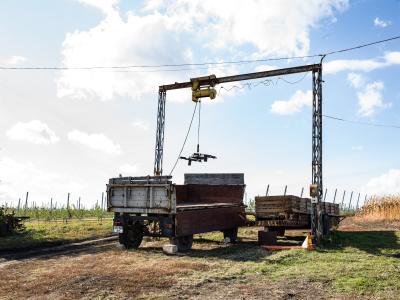 Modernisation of Moldova’s horticultural sector
