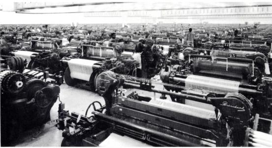 Development of aluminium industry in Cameroon
